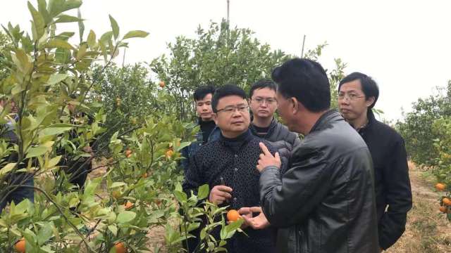 “仲恺军”奔走南粤大地扶农助农。 “仲恺军”奔走南粤大地扶农助农。
