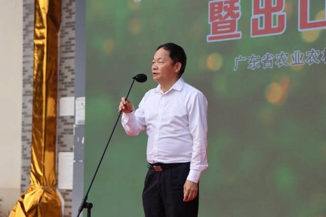 广东省农业农村厅总农艺师郑宏宣致辞