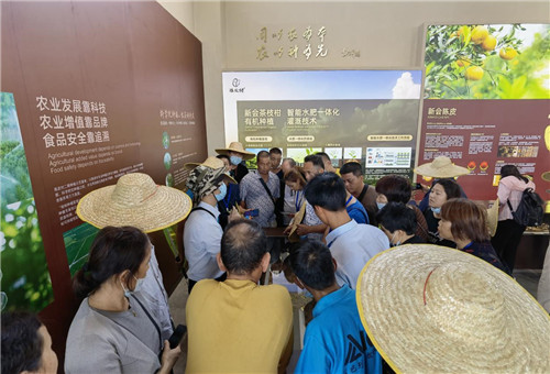 农民4 农民4