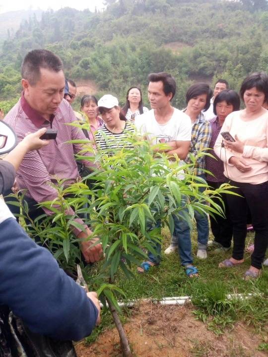 柳建良教授在现场指导果农种植技术。