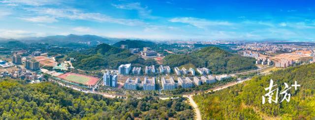 白云校区鸟瞰图。学校供图