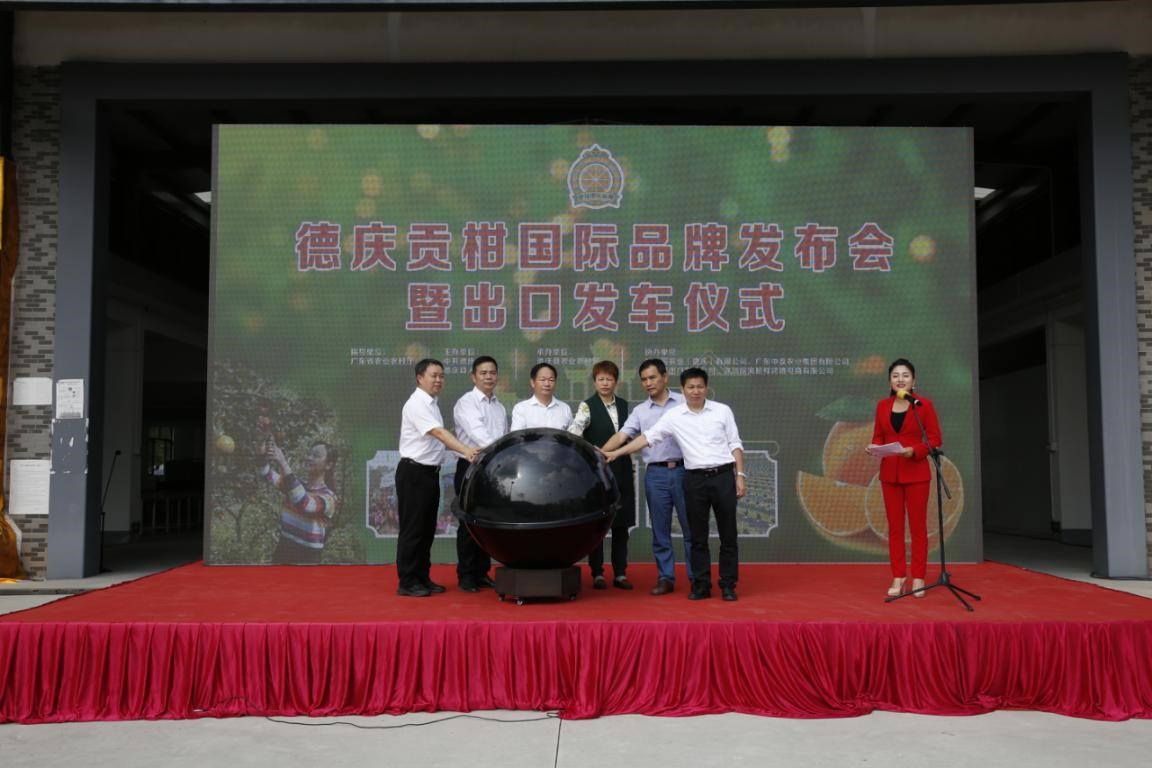 活动现场
