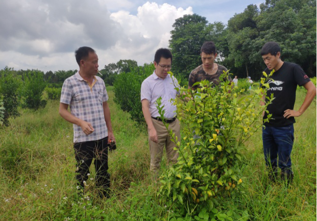通讯员/受访者 曾献尼 供图