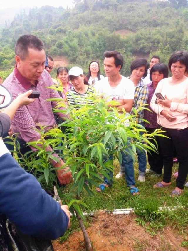 柳建良教授在田间地头指导农户栽培技术