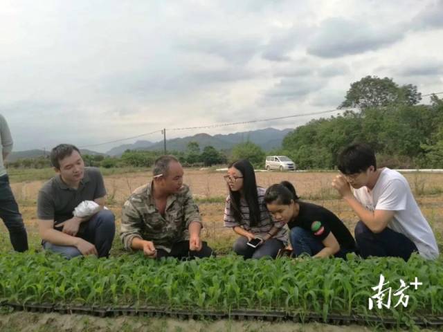 张文浩带领学生上山下田。
