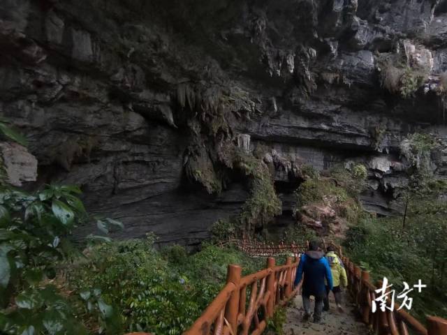 痴迷于自然观察的朱江喜欢往野外跑。