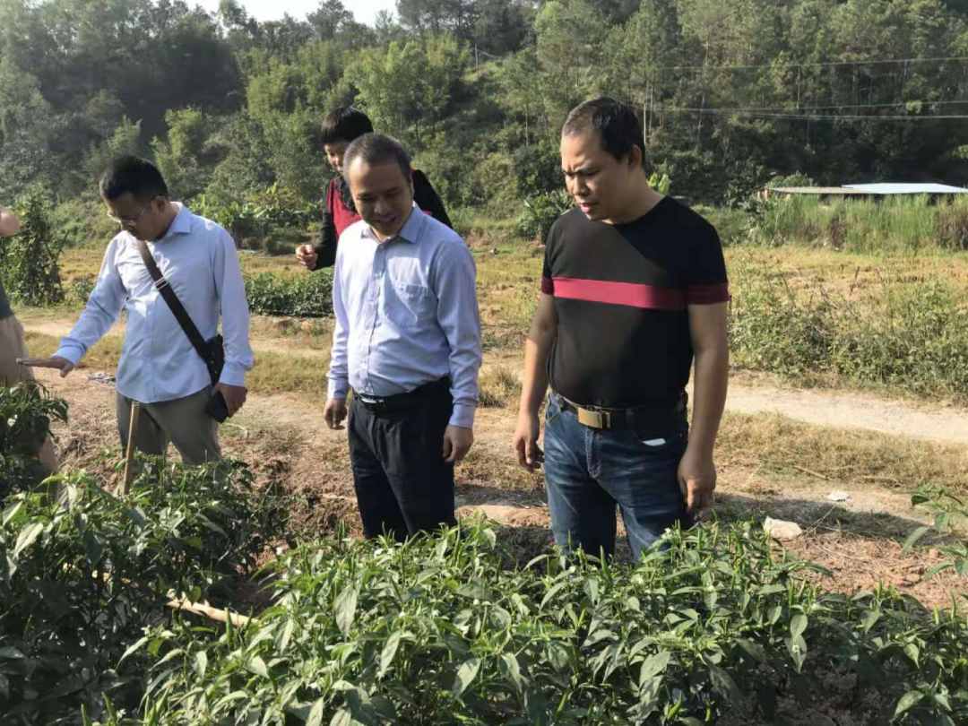 891276552.jpg?x-oss-process=style/w10