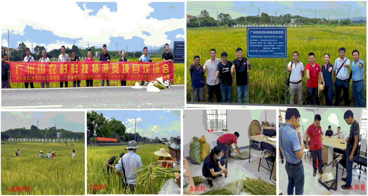 我校广州市农村科技特派员项目现场评价会在增城顺利召开