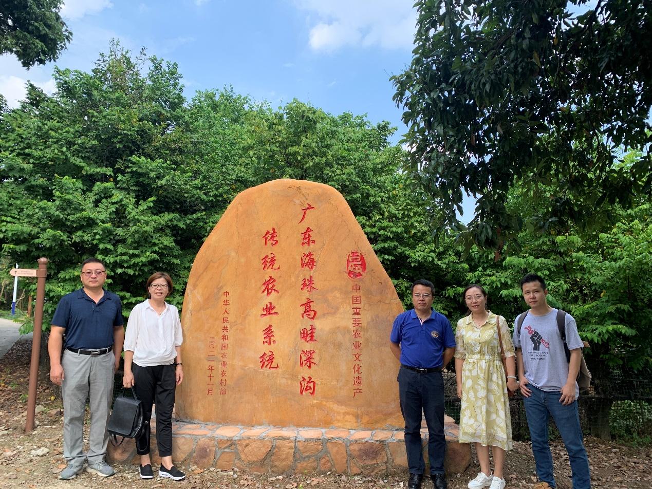 人文与社会科学学院开展“广东海珠高畦深沟传统农业系统”农业文化遗产主题调研