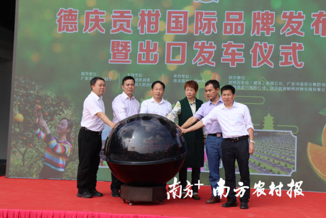 德庆贡柑国际品牌发布会暨出口发车启动仪式