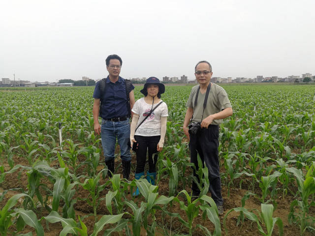 陆永跃、陈科伟团队在田间调研