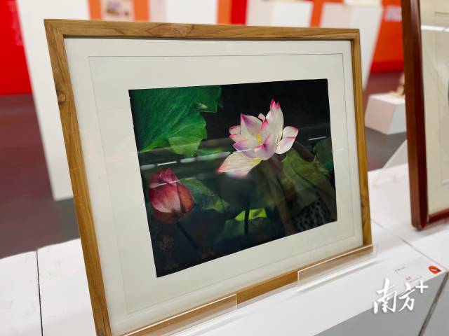 侯玉梅的刺绣作品《暗香》。