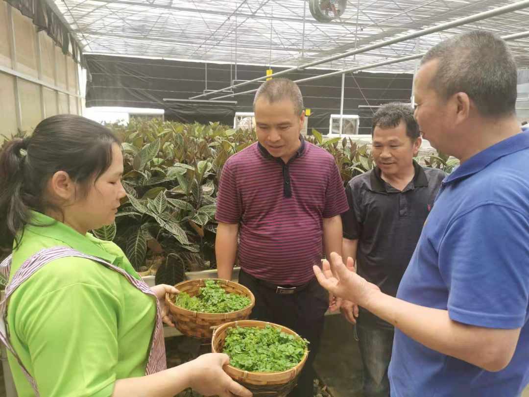 674649244.jpg?x-oss-process=style/w10