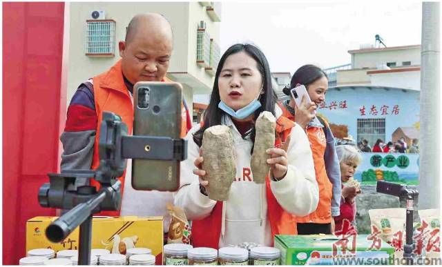 佛冈通过直播平台推广售卖竹山粉葛。